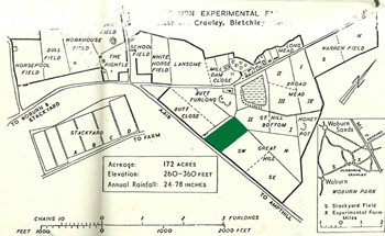 Road Piece shown in green